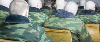 Как заполнять анкету призывника для родителей