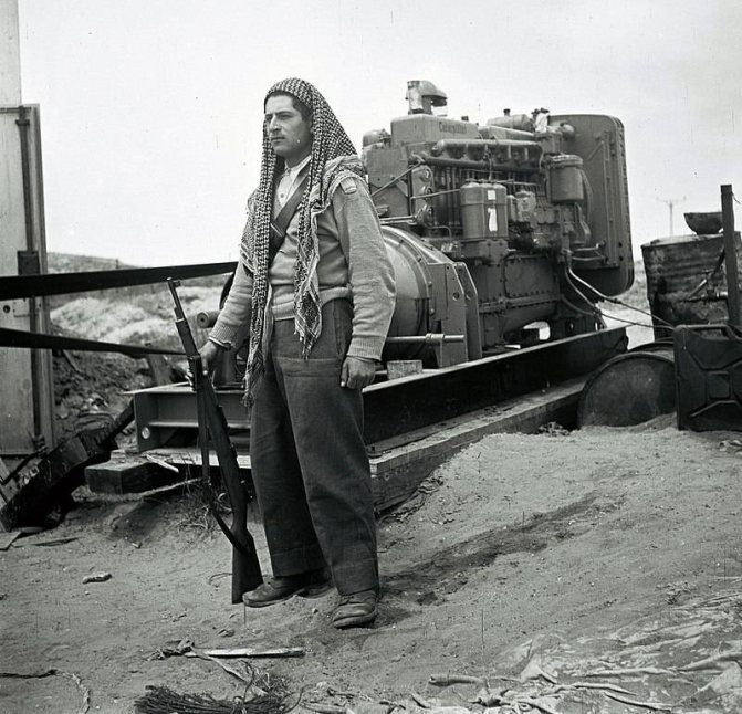 Нееврейский ЦАХАЛ. Как в израильской армии служат бедуины и черкесы