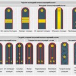 Погоны и звания полиции РФ