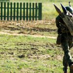 Уголовная ответственность за дезертирство по УК РФ статья 338